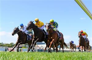 Ascot Tips - Best & Value Bets for Railway Stakes Day on November 25