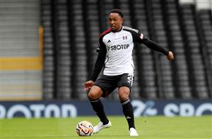 Fulham vs Wolves Predictions & Tips - Tight Premier League Tussle