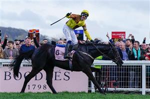 2023 John Durkan Memorial Chase Tips - Will Galopin be the Champ at Punchestown again?