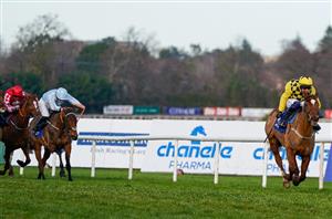 Lengthen The Odds - Boost State Man's price in the Morgiana Hurdle with Boylesports