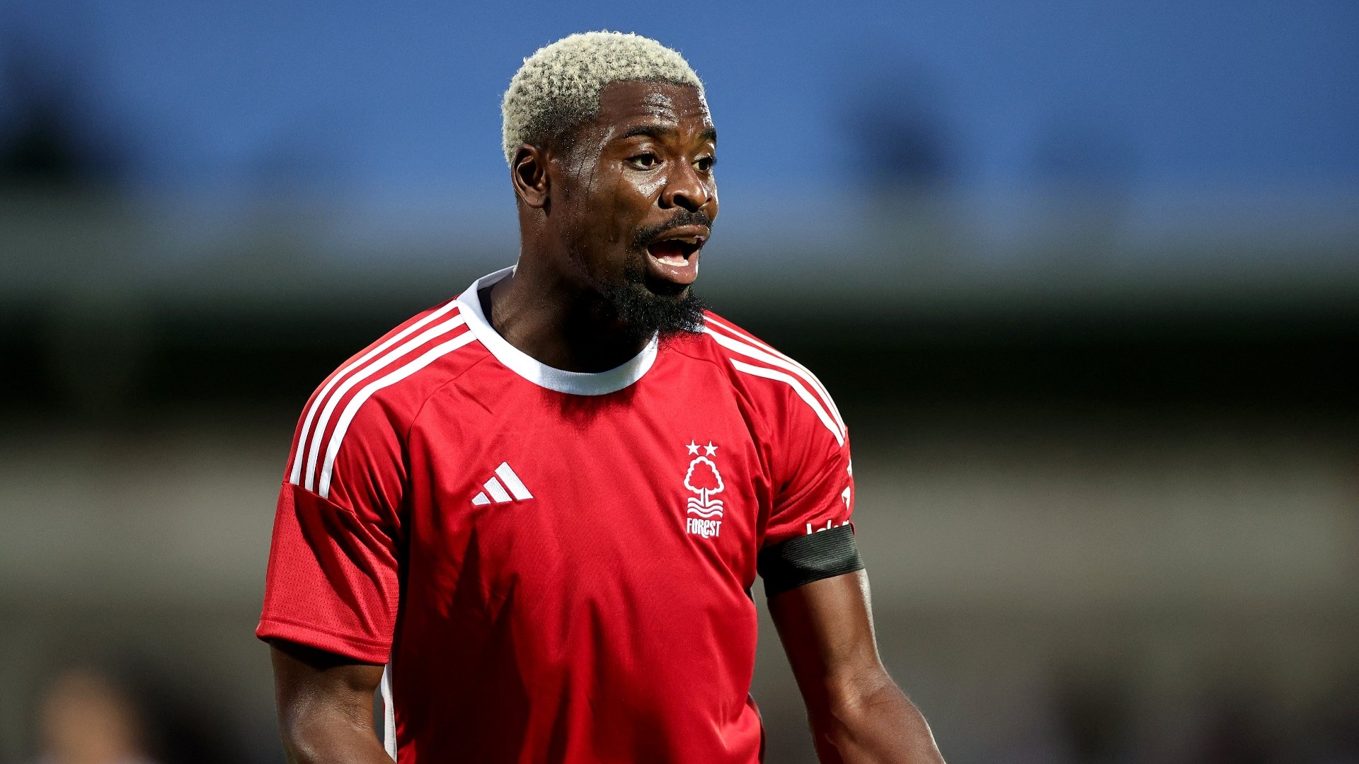 Nottingham Forest vs Brighton Predictions & Tips - City Ground Goals in ...