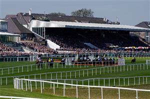 Three Races To Watch on November 26th - Tips for Punchestown, Cork and Exeter