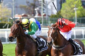 Winterbottom Barriers