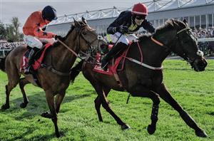 Eye On Cheltenham 2024 - Fastorslow and Royale Pagaille cut for the Gold Cup