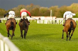 hatton's grace hurdle