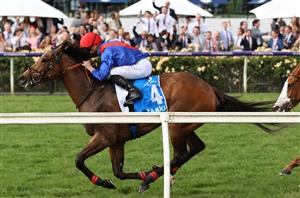 Northerly Stakes 2023 Barrier Draw & Final Field