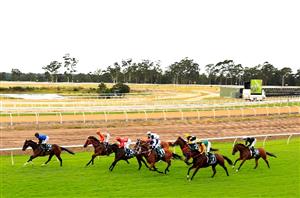 Warwick Farm Tips for 06.12.2023
