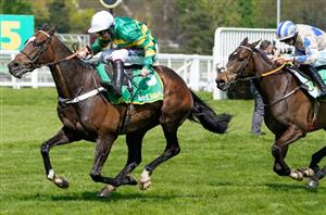 2023 Tingle Creek Odds - Jonbon odds-on to win at Sandown