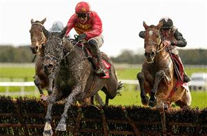 "I might go straight to the Stayers" - Teahupoo to be kept fresh for Cheltenham