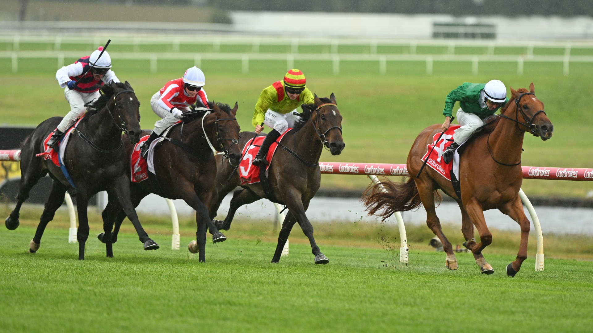 wednesday-racing-tips-best-value-bets-for-december-6