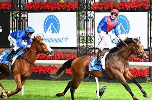 Northerly Stakes 2023 Betting Tips - Class to prevail again in the west