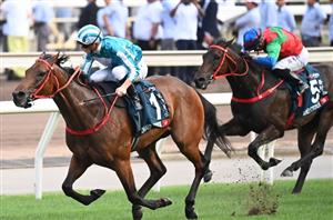 HK Cup Tips