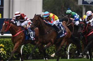 Hong Kong Sprint Tips & Preview - Sweynesse is suited in HK Sprint
