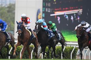 Hong Kong Vase Tips & Preview - Magic Man to claim a fourth Vase