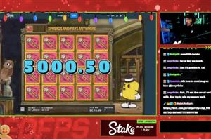 Stake.us Big Winners