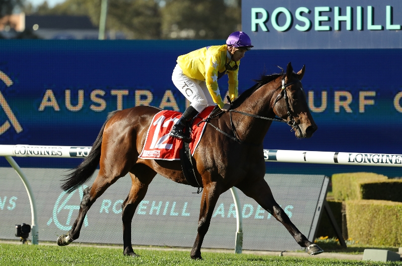Perth Cup 2025 Winner Odds Ayn Magdalena