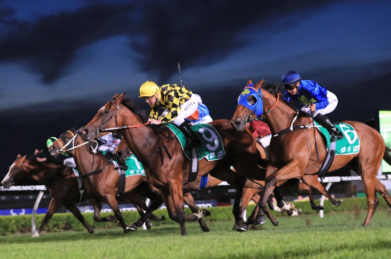 Canterbury Betting Tips for December 15, 2023 Waller youngsters