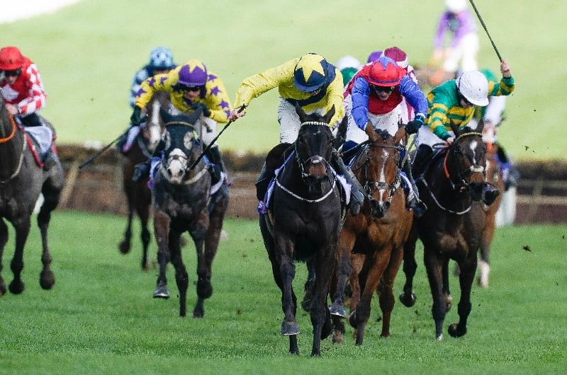 supreme novices hurdle