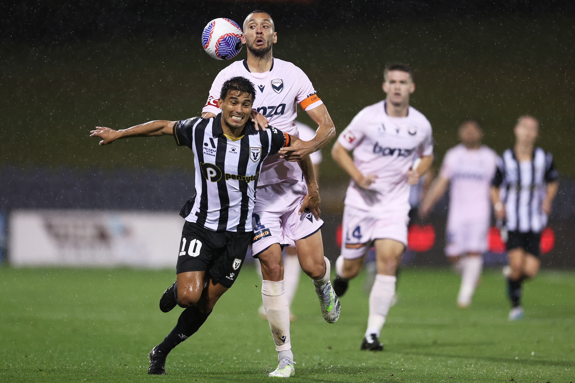 Macarthur vs Wellington Phoenix Tips Bulls to win against Phoenix in ALeague