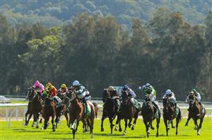 Gosford Tips for 21.12.2023