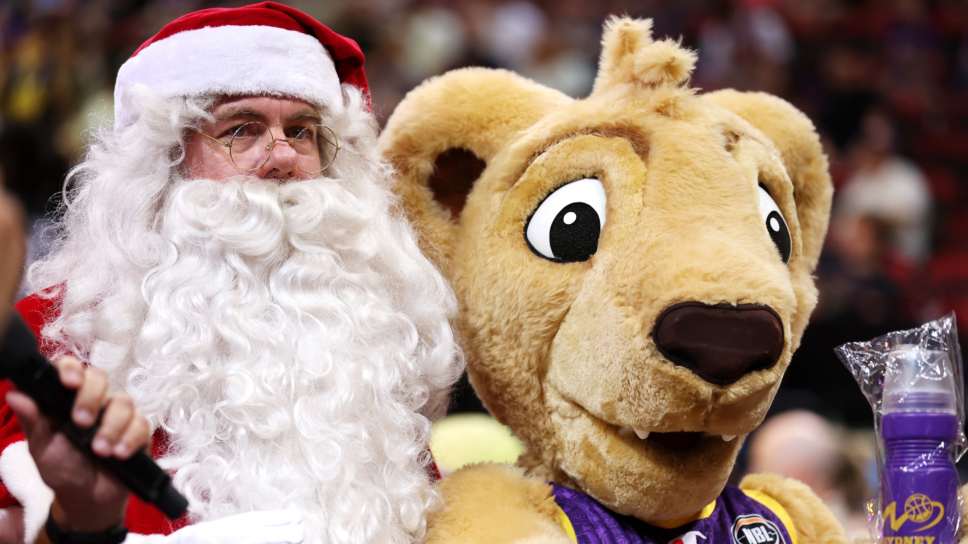 Christmas And Boxing Day Sport Christmas Sports To Enjoy This Weekend christmas-and-boxing-day-sport-christmas-sports-to-enjoy-this-weekend