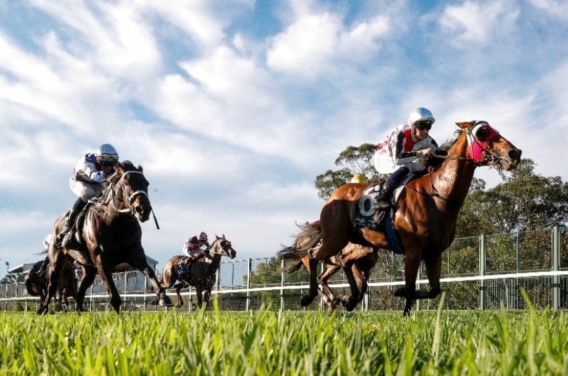 Ipswich Betting Tips for December 24, 2023 Azzareach to make all