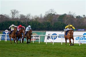 2023 Matheson Hurdle Tips - State Man vs Impaire Et Passe at Leopardstown
