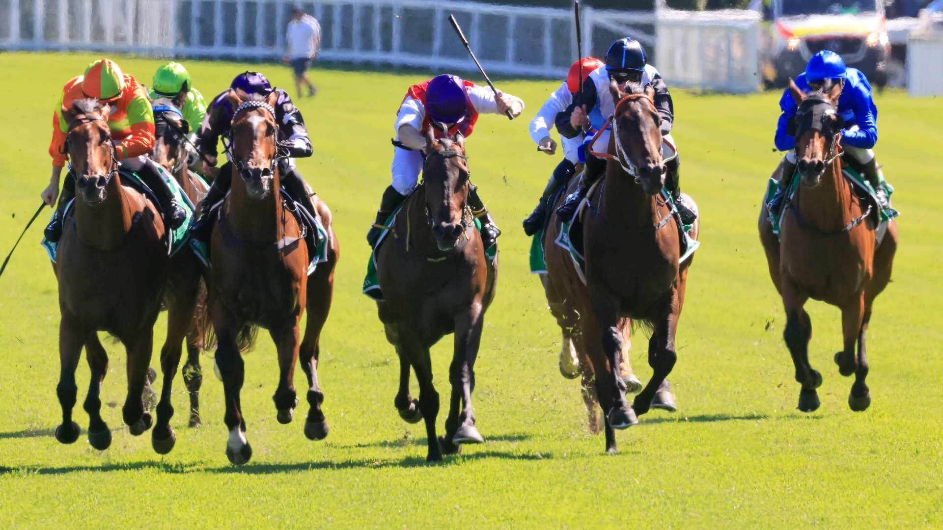 Canterbury Betting Tips for January 1, 2024 Outsider fancied in the