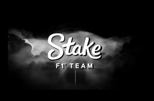 Stake F1 Team