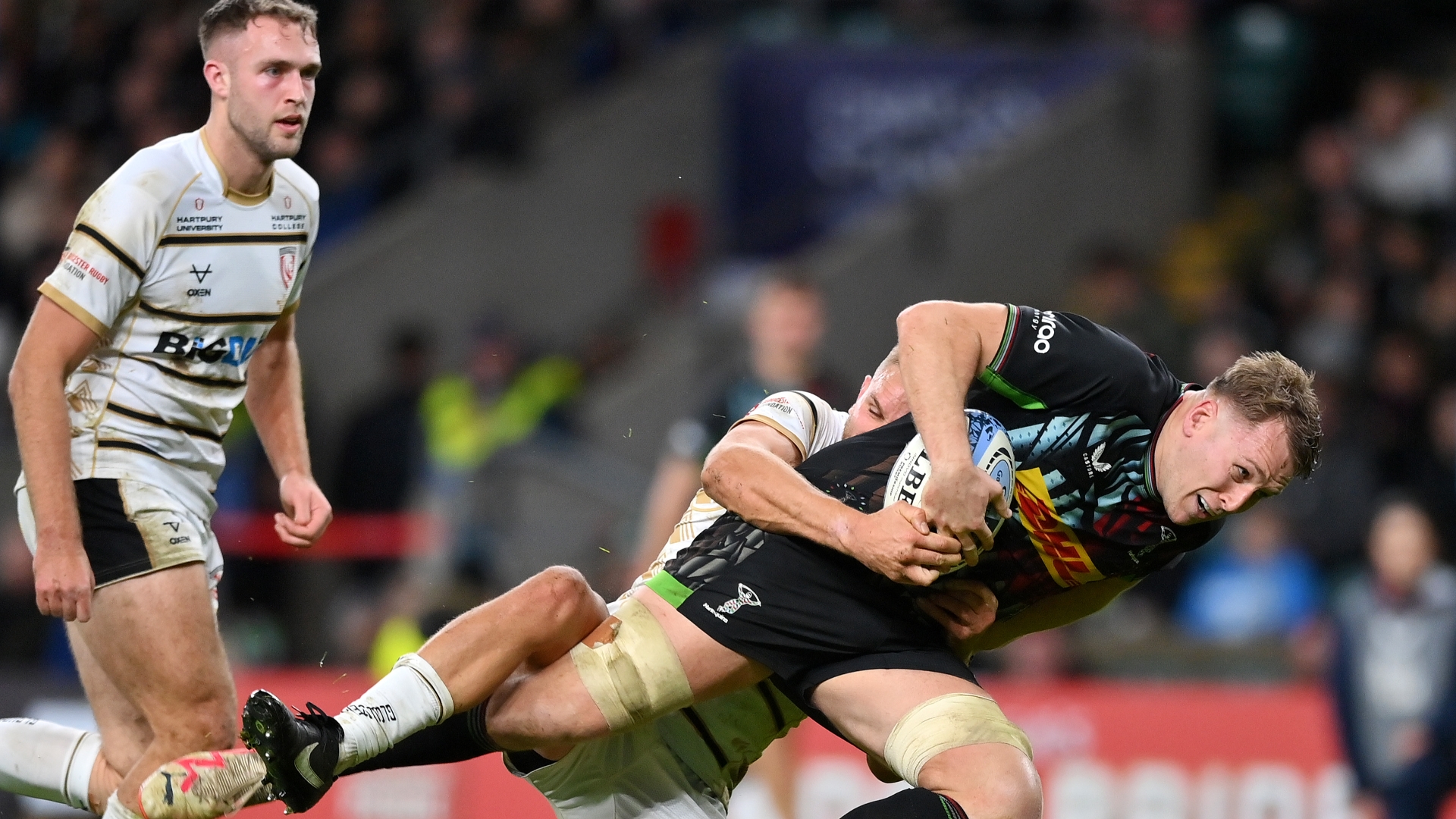 Newcastle vs Harlequins Predictions Harlequins backed for comfortable