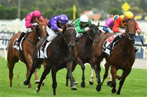 Big Bets for 06.01.2024