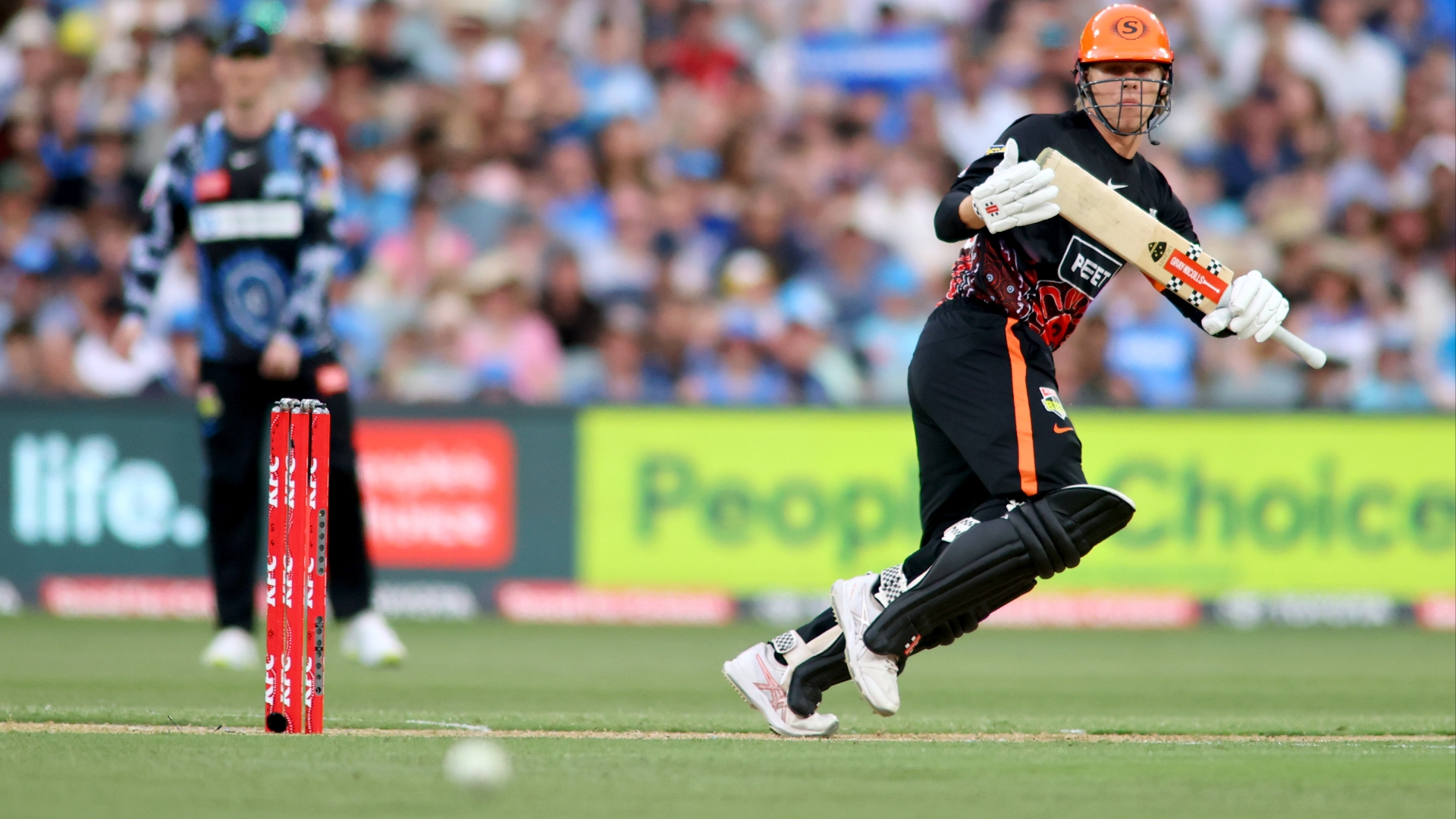 Sydney Thunder vs Perth Scorchers Live Stream & Tips Scorchers to