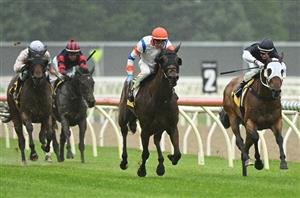 Stony Creek Tips for 09.01.2024