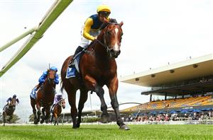 Magic Millions 2YO Classic 2024 Betting Tips - Fav tipped in juvenile feature