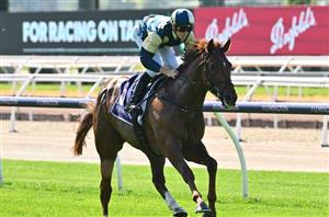 Magic Millions 3YO Guineas 2024 Betting Tips - Three-time Group winner gets the nod