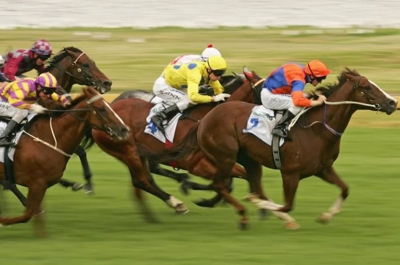 Belmont 2024 Odds And Tips Gene Peggie