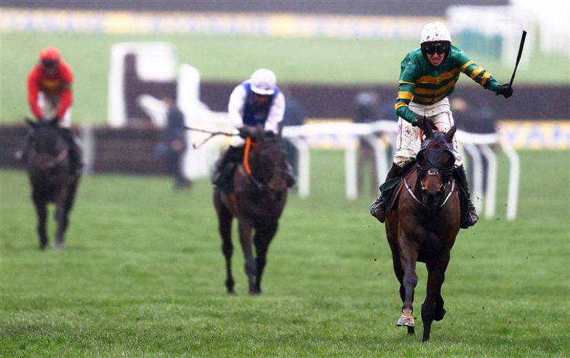 2024 Stayers' Hurdle Entries 20 in contention for Cheltenham Festival