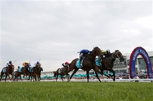 Gold Coast Betting Tips for January 13, 2024 - Race-By-Race preview for Magic Millions day