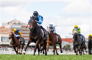 Oakleigh Plate 2024 Betting Odds - King's Gambit is the firmer