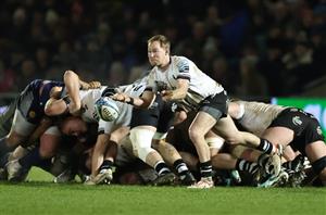 Bristol Rugby
