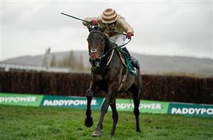 2024 Cheltenham Festival Tips - Four Handicappers To Follow