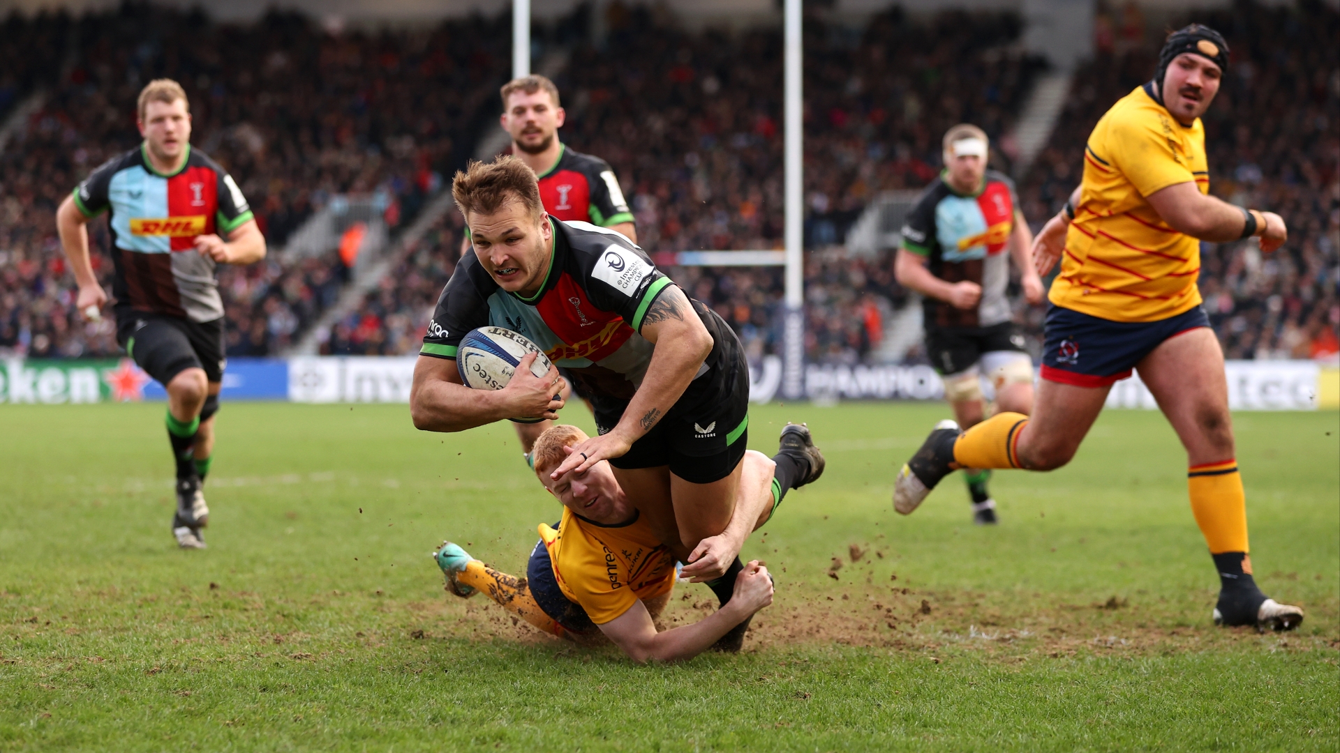 Harlequins vs Leicester Predictions Harlequins backed to cover