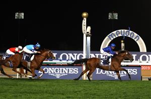 Meydan Tips on January 26th - Dubai World Cup Carnival Week 4 Tips