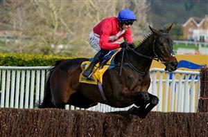 2024 Cheltenham Festival News - Theleme and Allaho both ruled out