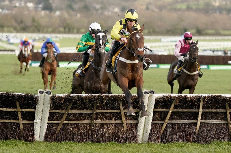 Racing Photos | Festival Trials day at Cheltenham [Pictures and Results]