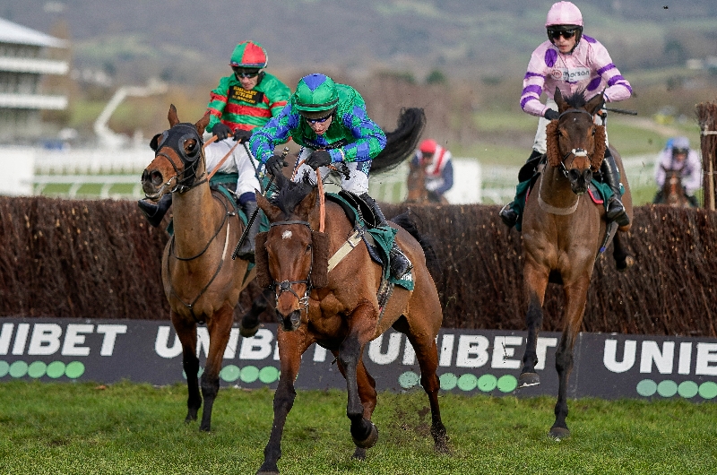 Racing Photos | Festival Trials day at Cheltenham [Pictures and Results]