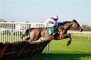 Three Races To Watch on January 28th - Tips for Doncaster and Naas