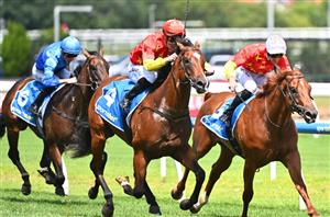 Blue Diamond Stakes 2024 Betting Odds - A competitive market is set