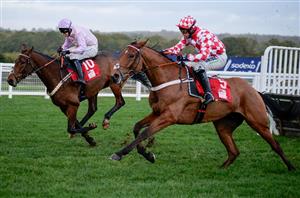 2024 Cheltenham Festival Tips - Five Non-Runner No Bet Selections