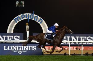 Meydan Tips on January 31st - Dubai World Cup Carnival 2025 Week 5 Tips